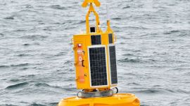 La iniciativa busca salvaguardar a las ballenas.