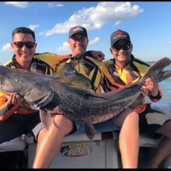 Una exitosa experiencia de pesca en el Alto Paraná, en la previa de la XXIV Fiesta del Surubí.