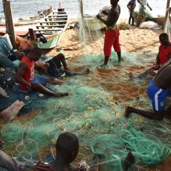 África concentra el 48,9 % del total de las embarcaciones industriales y semiindustriales identificadas que participan en la pesca ilegal, no declarada y no reglamentada