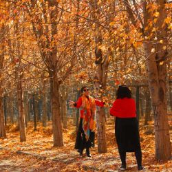 La gente se hace fotos con los árboles durante la temporada de otoño en Shenyang, en la provincia nororiental china de Liaoning. | Foto:AFP