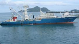 Casi ningún país del mundo exige información de los propietarios al momento de registrar las embarcaciones pesqueras.