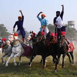 Nihang o guerreros sijs montan a caballo de pie durante la celebración de Fateh Divas un día después de Bandi Chhor Divas, un festival sij que coincide con Diwali, el festival hindú de las luces, en Amritsar, India. | Foto:Narinder Nanu / AFP