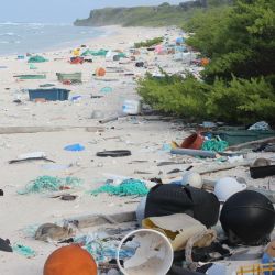 ¿Planeta o Plástico? La muestra que obliga a repensar nuestra relación con los desechos y el medio ambiente