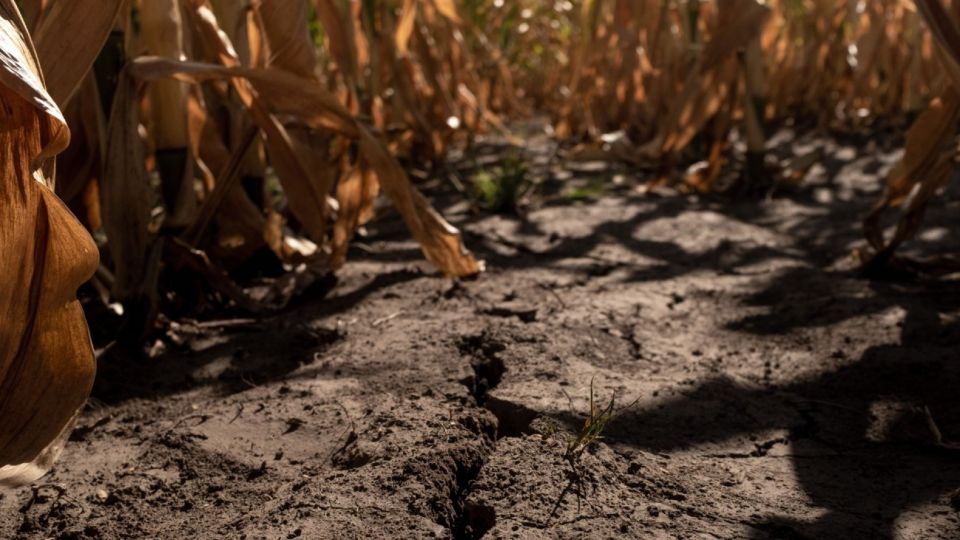 Third straight drought is upending key Argentine planting season