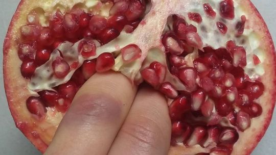 Stephanie Sarley, la artista que a través de las frutas explora la sexualidad y el placer femenino 