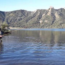 El Reglamento de Pesca Deportiva Continental Patagónico para la temporada de truchas 2022/2023 nos permite informar distintos detalles de la temporada que comenzó el 1 de noviembre de forma oficial