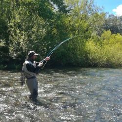 El Reglamento de Pesca Deportiva Continental Patagónico para la temporada de truchas 2022/2023 nos permite informar distintos detalles de la temporada que comenzó el 1 de noviembre de forma oficial