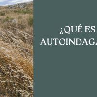 ¿Qué es la autoindagación?