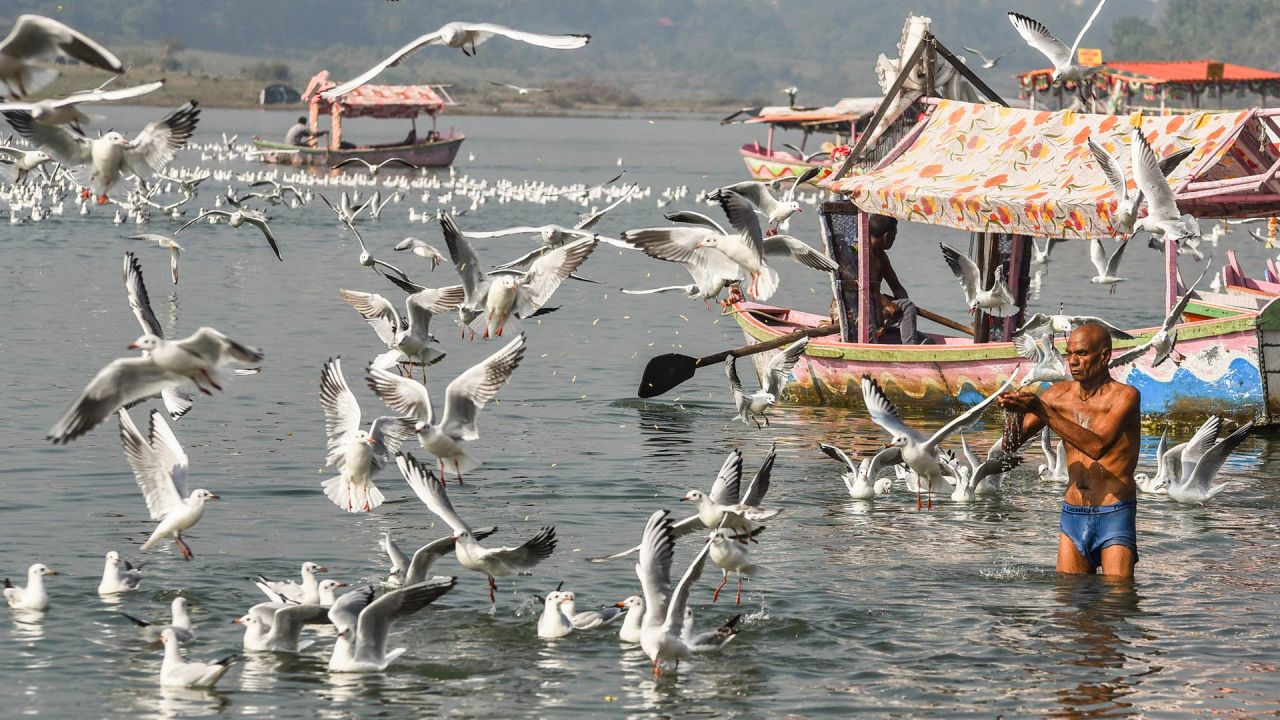 Un hombre ofrece oraciones mientras las gaviotas siberianas migratorias vuelan sobre el río Narmada en una mañana invernal en Jabalpur, India. | Foto:UMA SHANKAR MISHRA / AFP