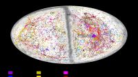 0211_mapa universo