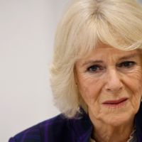 El susto de Camilla Parker Bowles: sufrió un accidente en pleno vuelo
