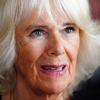 El susto de Camilla Parker Bowles: sufrió un accidente en pleno vuelo 