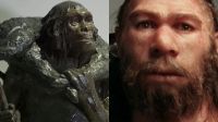 Neandertales 20221103