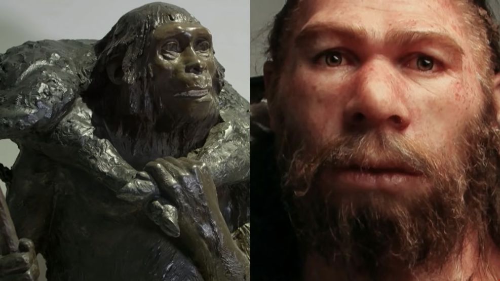 Neandertales 20221103
