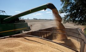 Soybean production.