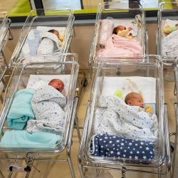 Esta foto muestra a bebés recién nacidos en la sala de maternidad del hospital Vita de Sofía, Bulgaria. | Foto:NIKOLAY DOYCHINOV / AFP