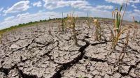 Severa sequía 20221107