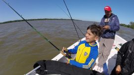 11_7BagrePatiParanaBravo