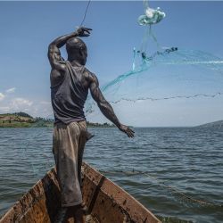 Esta fotografía muestra a Jowali Kitagenda, de 40 años, echando la red para pescar en el río Nilo en Jinja, al sur de Uganda. | Foto:BADRU KATUMBA / AFP