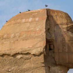 Palomas se posan sobre la cabeza de la Gran Esfinge en la necrópolis de las pirámides de Guiza, en las afueras de la ciudad gemela de El Cairo, capital de Egipto. | Foto:AMIR MAKAR / AFP