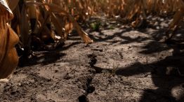Heatwave And Drought Threaten Argentine Crops 