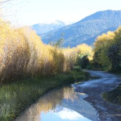 La firma es originaria de Chubut y su ADN se encuentra en ese terroir patagónico.