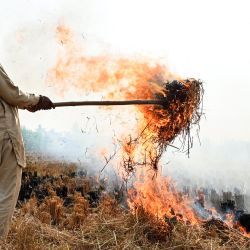 Un agricultor quema rastrojos de paja después de una cosecha en un campo de arroz en las afueras de Amritsar, India. | Foto:Narinder Nanu / AFP
