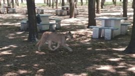 El animal sorprendió a todos los presentes.