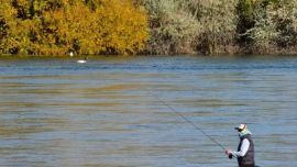 La medida fue tomada para proteger la riqueza ictícola de la provincia.