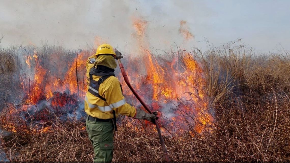 A firefighter works to extinguish a blaze in the Paraná Delta.