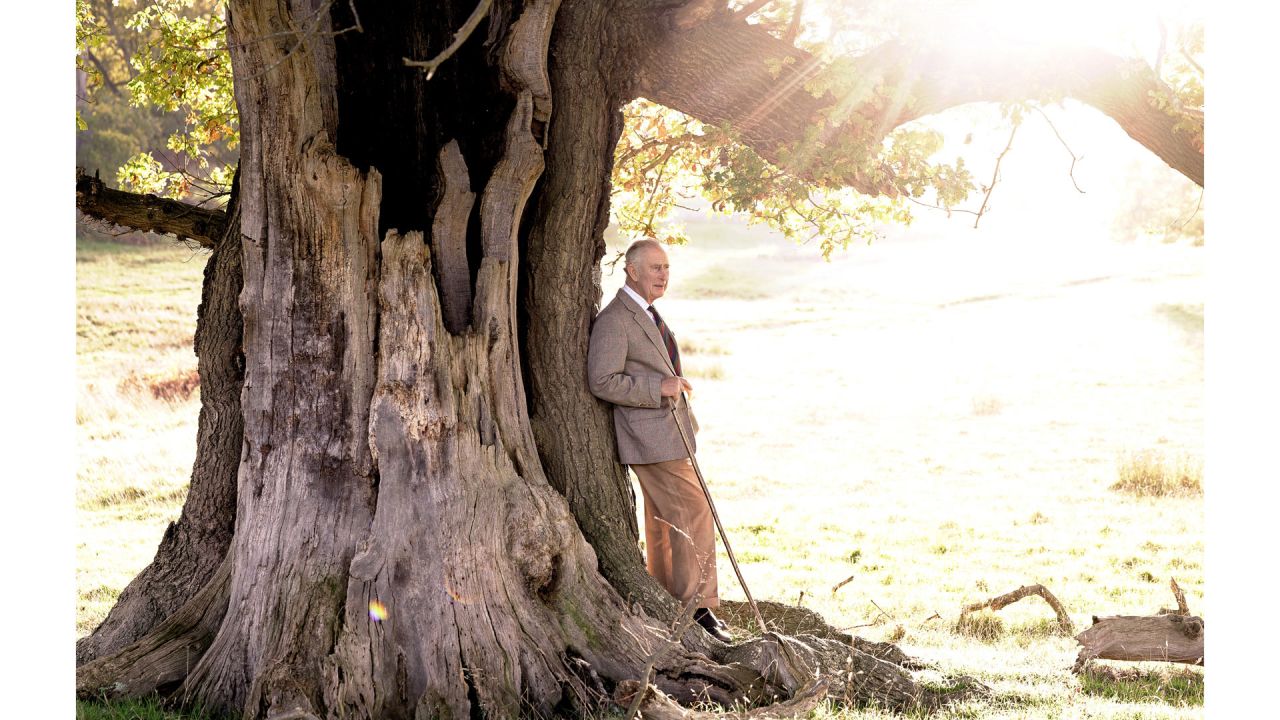 En esta imagen distribuida por el Palacio de Buckingham, el rey británico Carlos III posa para una fotografía con un antiguo roble en el Gran Parque de Windsor con motivo de su nombramiento como Guardián del Parque. | Foto:CHRIS JACKSON / BUCKINGHAM PALACE / AFP