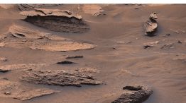 Un pato de piedra en Marte