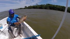 11_15BogasParanaGuazuBravo