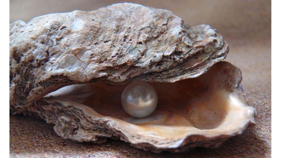 Tasación de joyas con perlas: ¿Cómo se clasifican y cuáles son las que tienen valor?