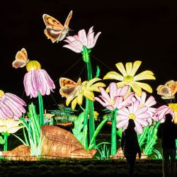 Estructuras luminosas con forma se exhiben en el Jardin des Plantes de París, en el marco de la exposición Fete des Lumieres titulada "Mini-Mondes en voie d'illumination (Mini-Mundos en proceso de iluminación)". | Foto:BERTRAND GUAY / AFP
