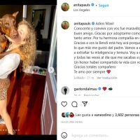 Anita Pauls enfrenta una dolorosa pérdida: "Gracias por darme tanto amor"