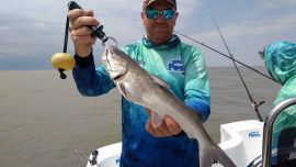 En Berisso, provincia de Buenos Aires, los bagres de mar ayudaron a que la jornada de pesca tuviera calidad y cantidad.