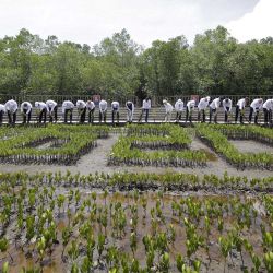 Los líderes plantan sus plántulas durante un evento de plantación de manglares en el Parque Forestal de Manglares Tahura Ngurah Rai como parte de la Cumbre de Líderes del G20 en Nusa Dua, en la isla turística indonesia de Bali. | Foto:MAST IRHAM / POOL / AFP