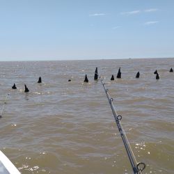En los malecones de Berisso en el Rio de la Plata, la llegada de las bogas fue el estimulo perfecto para un día de pesca soñado.