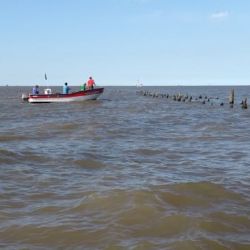 En los malecones de Berisso en el Rio de la Plata, la llegada de las bogas fue el estimulo perfecto para un día de pesca soñado.