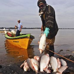Los pescadores comerciales tendrán un día más para desarrollar la actividad. 