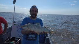 En los malecones de Berisso en el Rio de la Plata, la llegada de las bogas fue el estimulo perfecto para un día de pesca soñado.