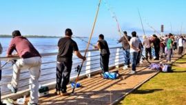 La nueva resolución lleva el número 460.