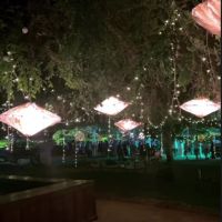 Florencia Peña y Ramiro Ponce de León se casaron en Salta: los detalles de la boda