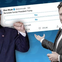 Trump y la encuesta con la que Musk "legalizó" su vuelta.  | Foto:CEDOC