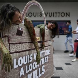 Activistas por los derechos de los animales pintados como pitones se sientan dentro de un bolso de Louis Vuitton falso frente a una tienda de Louis Vuitton durante una protesta contra el uso de pitones por parte de la compañía para hacer bolsos y carteras de piel de serpiente en Kuala Lumpur, Malasia. | Foto:MOHD RASFAN / AFP