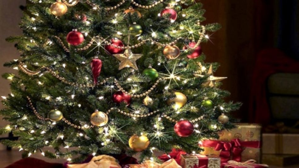 ¿Nochebuena? armar el arbolito navideño podría costar hasta $150.000