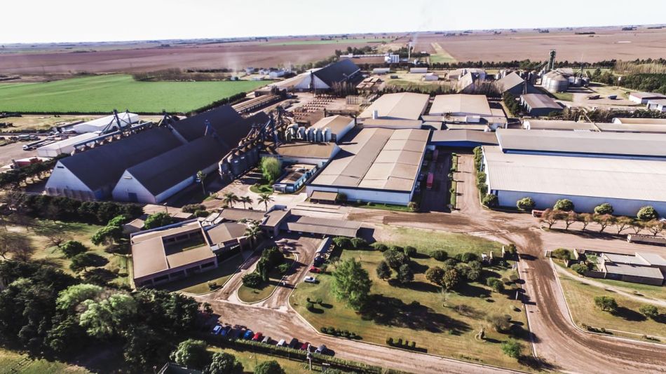 Prodeman complejo agroindustrial del maní 20221123