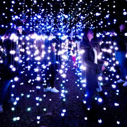 La gente visita instalaciones de luz artística a lo largo de un sendero iluminado durante la exposición Incanto di Luci (encanto de las luces) en el Jardín Botánico de Roma, Italia. | Foto:Tiziana Fabi / AFP