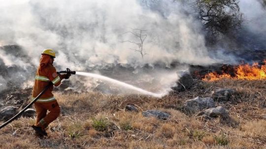 Arde el país: los incendios forestales continúan en cuatro provincias con focos activos